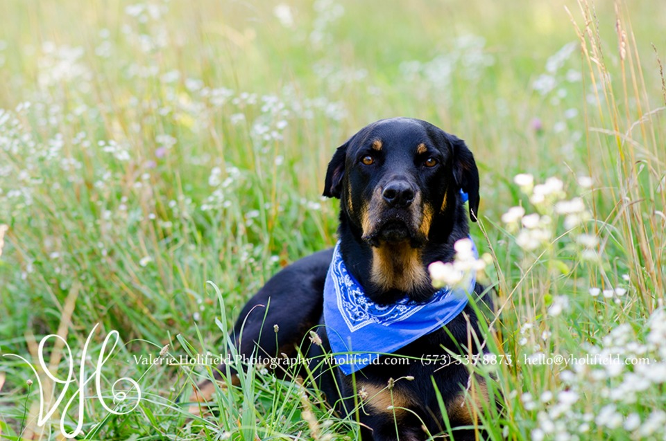 Ste. Genevieve Photographer | Kimberly & Ellie Mae, One Year Later