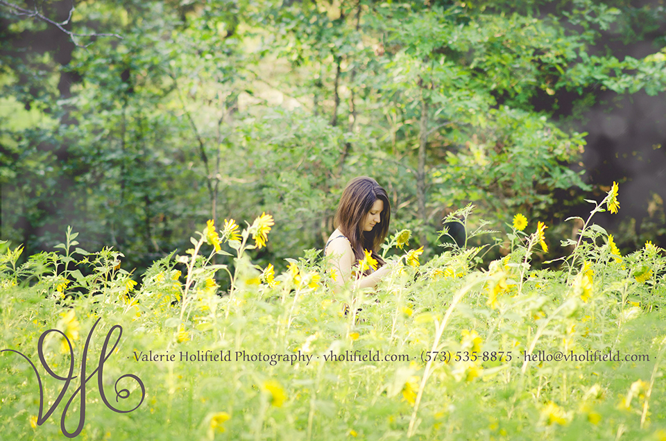 Ste. Genevieve Photographer | Delani & sunflowers