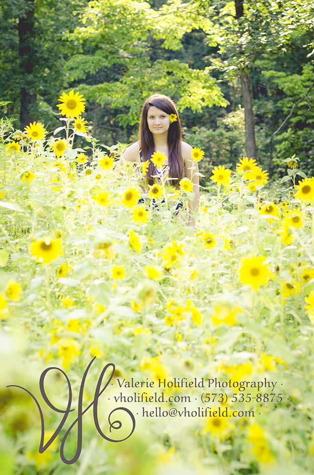 Ste. Genevieve Photographer | Delani & sunflowers