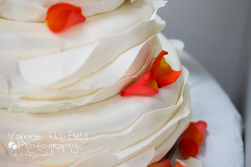 St. Charles Wedding Photographer | Joe & Bobbi 