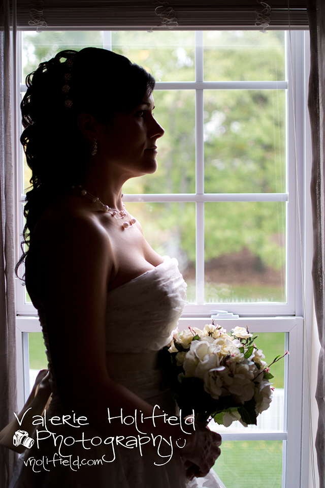 St. Charles Wedding Photographer | Joe & Bobbi 