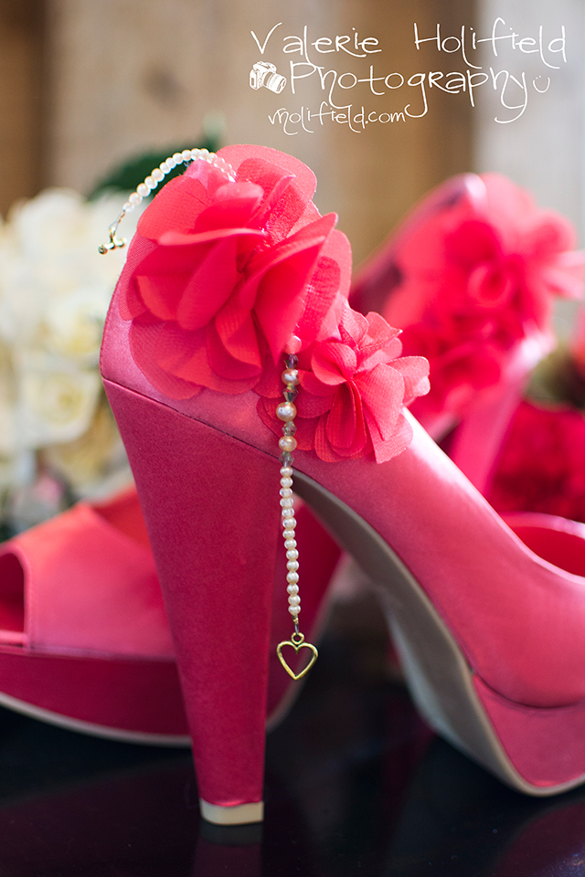St. Charles Wedding Photographer | Joe & Bobbi 