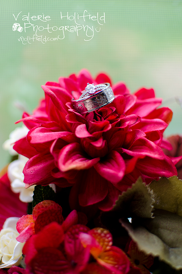 St. Charles Wedding Photographer | Joe & Bobbi 