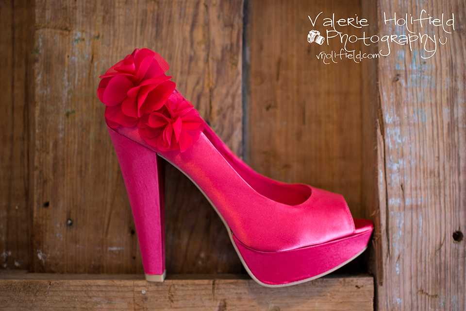 St. Charles Wedding Photographer | Joe & Bobbi 