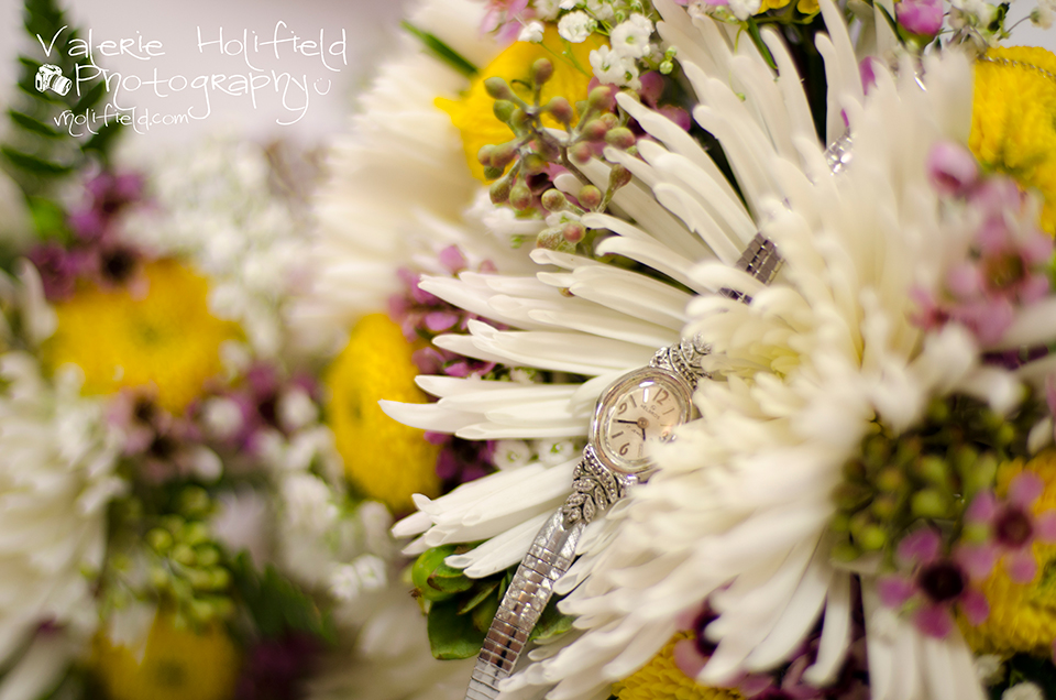Festus Crystal City Wedding Photographer | Nick & Rachel 