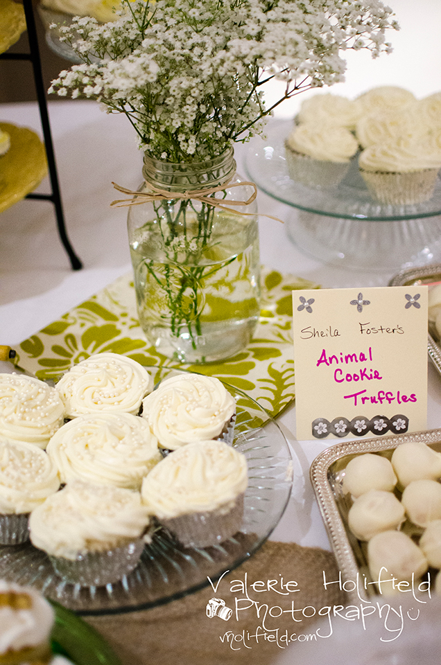 Festus Crystal City Wedding Photographer | Nick & Rachel's Reception 