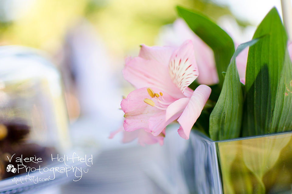 Arnold Wedding Photographer | Jeff & Laurel 
