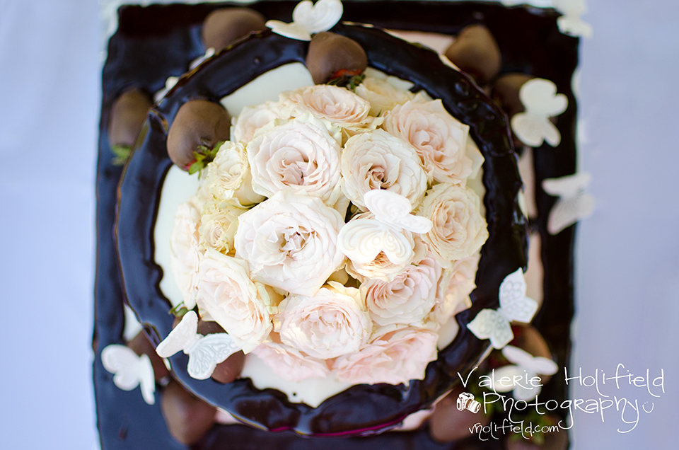 Arnold Wedding Photographer | Jeff & Laurel 
