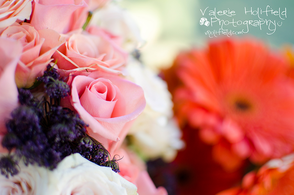 Arnold Wedding Photographer | Jeff & Laurel 