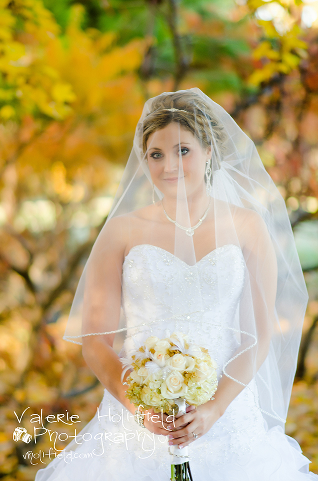St. Louis Wedding Photographer | Jason & Jessica 