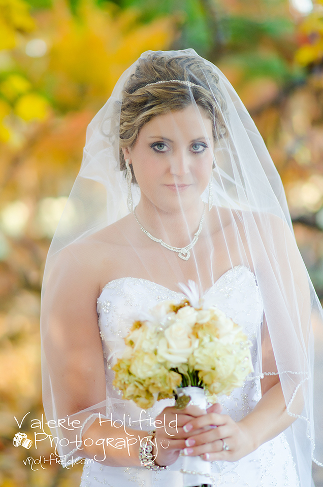 St. Louis Wedding Photographer | Jason & Jessica 