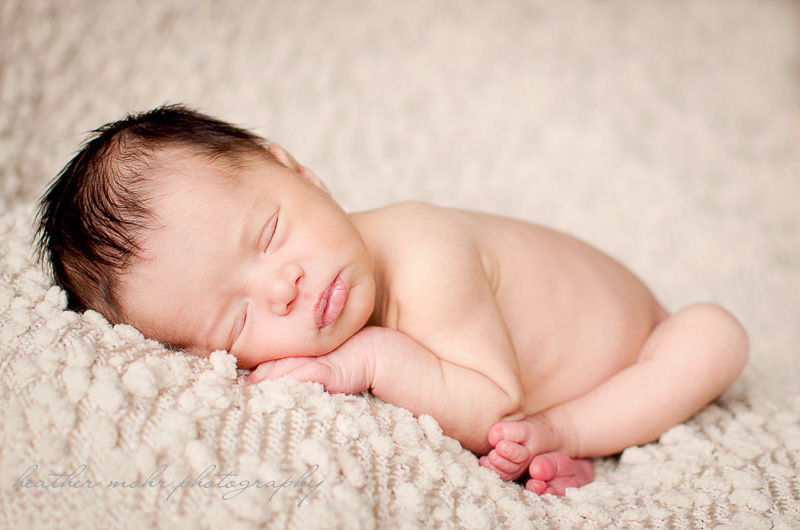 Heather Mohr Photography 