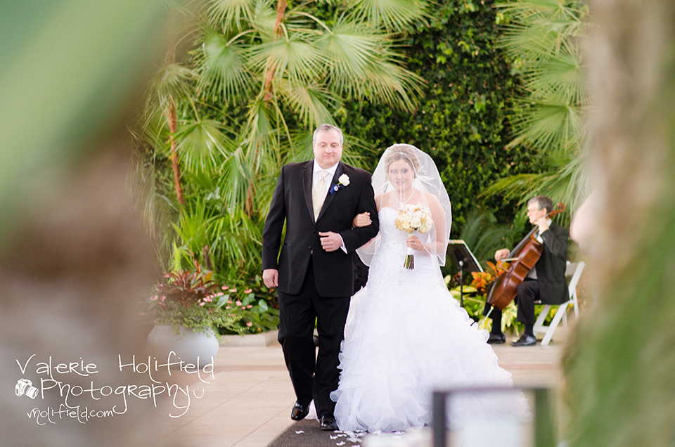 St. Louis Wedding Photographer | Jason & Jessica 