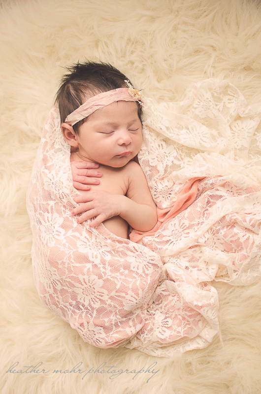 Heather Mohr Photography 