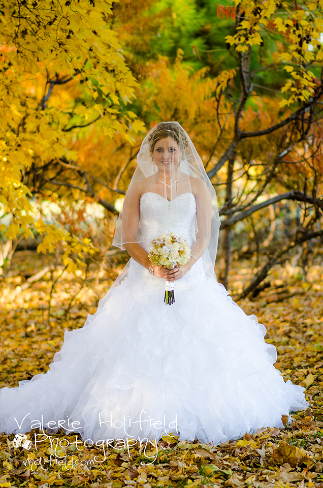 St. Louis Wedding Photographer | Jason & Jessica 