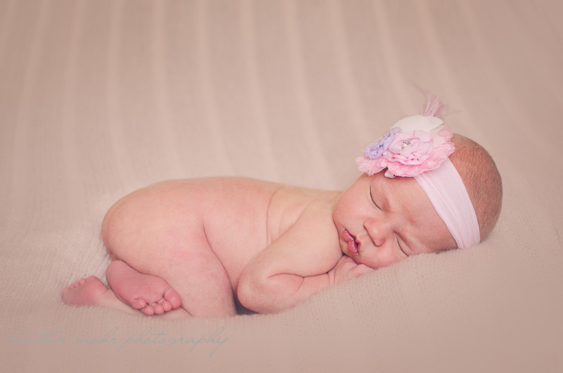 Heather Mohr Photography 