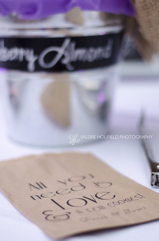St. Louis Wedding Photographer | Derek & Jami: 5-31-2015