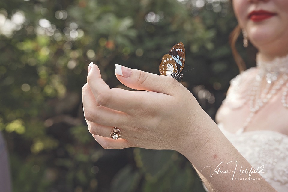 Jess & Dillon, May 11, 2018 | Wedding Photography at the Butterfly House in Chesterfield, MO 