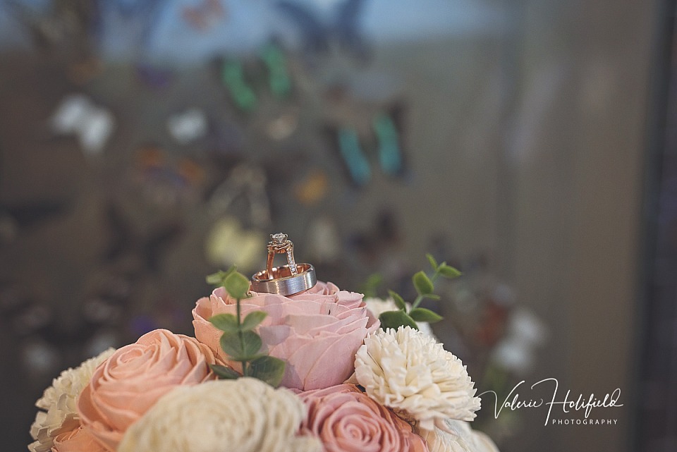 Jess & Dillon, May 11, 2018 | Wedding Photography at the Butterfly House in Chesterfield, MO 